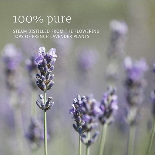 زيت لافندر - من ناو