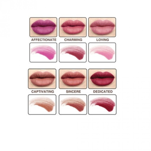 مجموعة 6 احمر شفاه روج سائل ميت مات هيوز - Vol5 - من ذا بالم