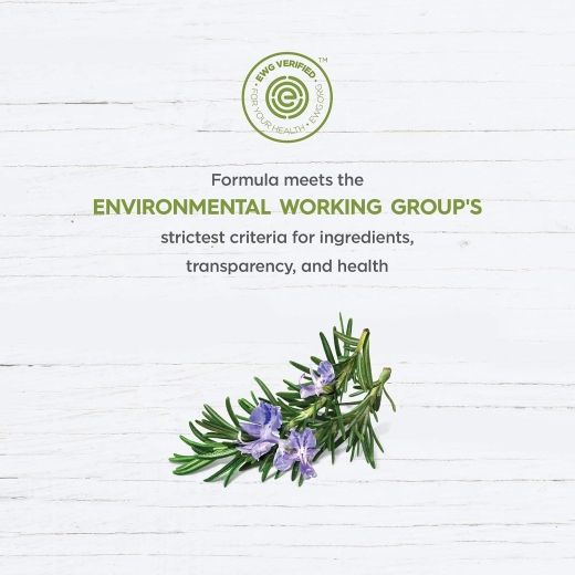 شامبو لانعاش وتنظيف فروة الراس معا النعناع وشجرة الشاي- من  أفالون أورغانيكس