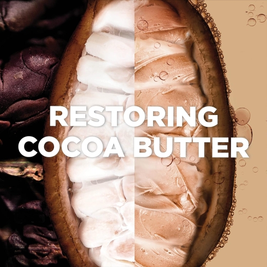 غذاء الشعر المغذي ٣ في ١ للشعر الجاف المجعد با زبدة الكاكو والجوجبا- من غارنييه