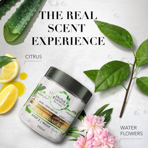 ماسك للشعر بخلاصة الصبار + زيت الافوكادو  خال من الكبريتات لترطيب الشعر الكيرلي- من هربل ايسنسز