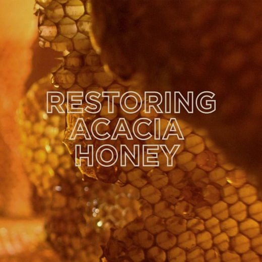 ماسك الترا دو كس مرم للشعر بفوائد العسل القيمة للشعر المتضرر - من غارنييه