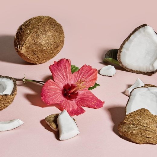 شامبو الكركديه وجوز الهند للتجعيد و اللمعان-من شيا مويستر