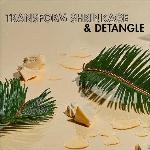 شامبو لفك تشابك الشعر بزيت النخيل الأحمر وزبدة جوز الهند- من شيا مويستر