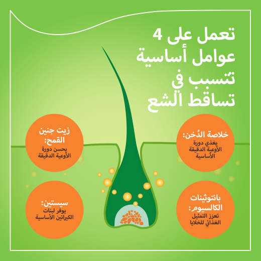 مكمل برايوريبرايورين-ان لنمو الشعر وتقويته ومنع التساقط 90 كبسولة - من  برايورين